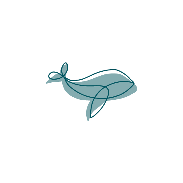 Paquete de Limpiador Multiusos